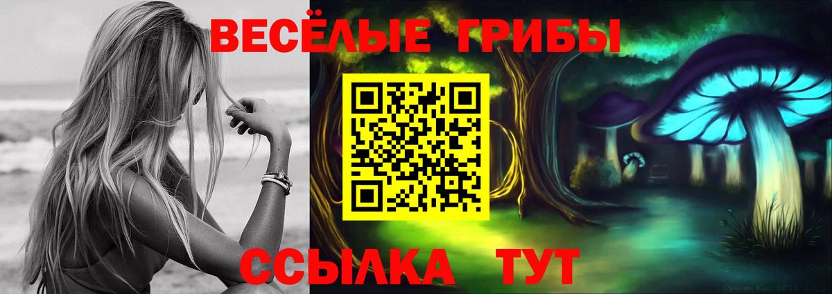 Мефедрон   Челябинск  Кетамин  Alpha PVP СК   Сколько стоит  LSD-25  ГАШ  MDMA  Конопля  Вход с VPN 
