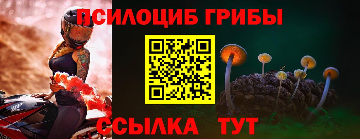 Челябинск  Псилоцибиновые грибы мицелий  Вход с VPN  Псилоцибиновые грибы GOLDEN TEACHER 